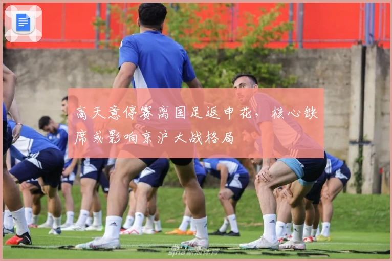 高天意停赛离国足返申花，核心缺席或影响京沪大战格局