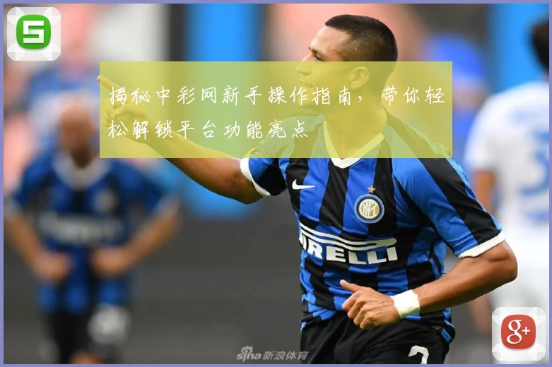 揭秘中彩网新手操作指南，带你轻松解锁平台功能亮点