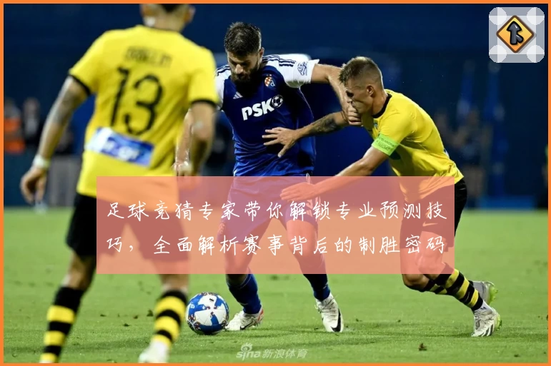 足球竞猜专家带你解锁专业预测技巧，全面解析赛事背后的制胜密码