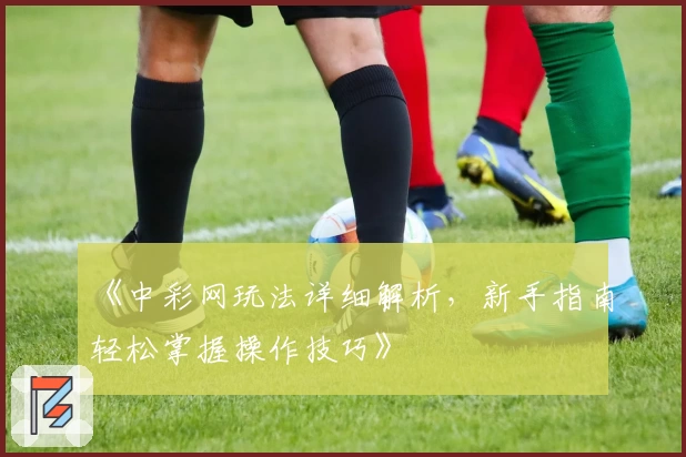 《中彩网玩法详细解析，新手指南轻松掌握操作技巧》